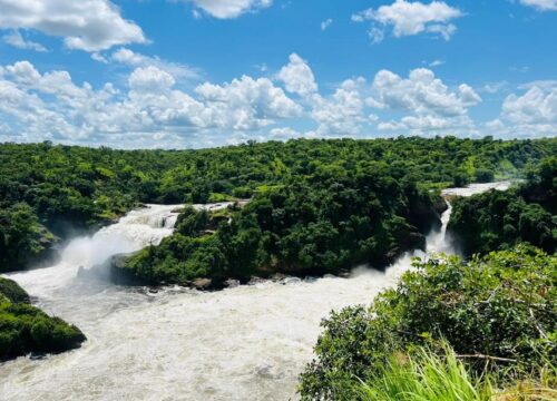 3 Days Murchison Falls Safari